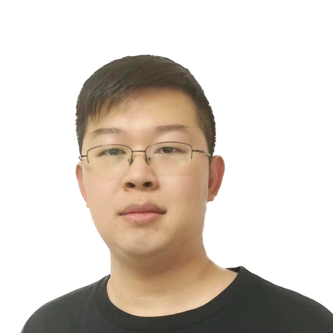 疯狂的狮子Li photo